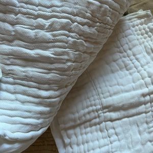 White medium trifolds